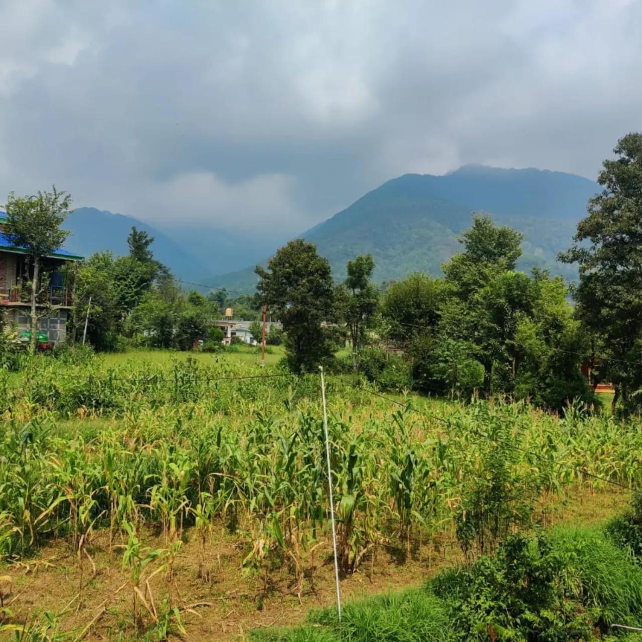 Aditya Homestay Bir-Billing Surrounded By Mountains Exterior foto