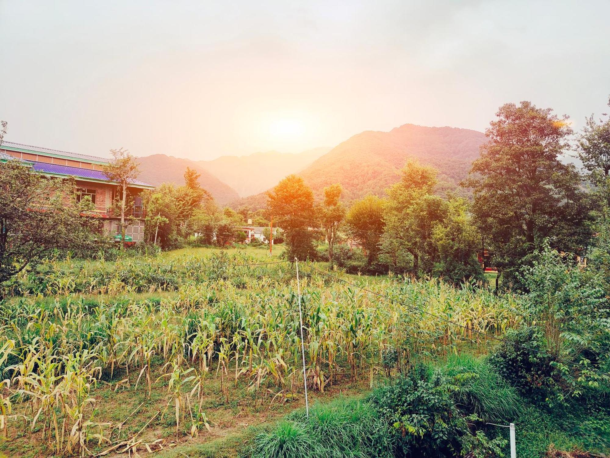 Aditya Homestay Bir-Billing Surrounded By Mountains Exterior foto